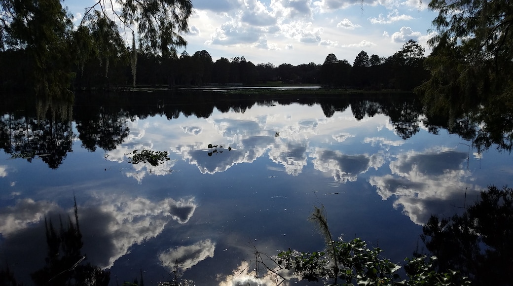 #Trovember
"Reflections" on the river. Breathtaking!