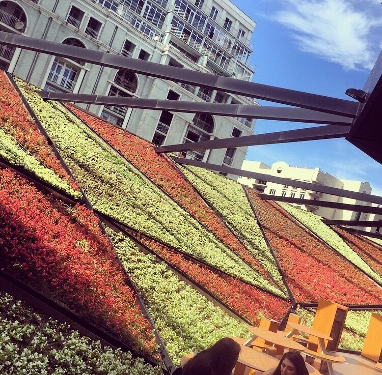 #flowers #alotofflowers