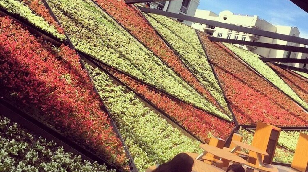 #flowers #alotofflowers