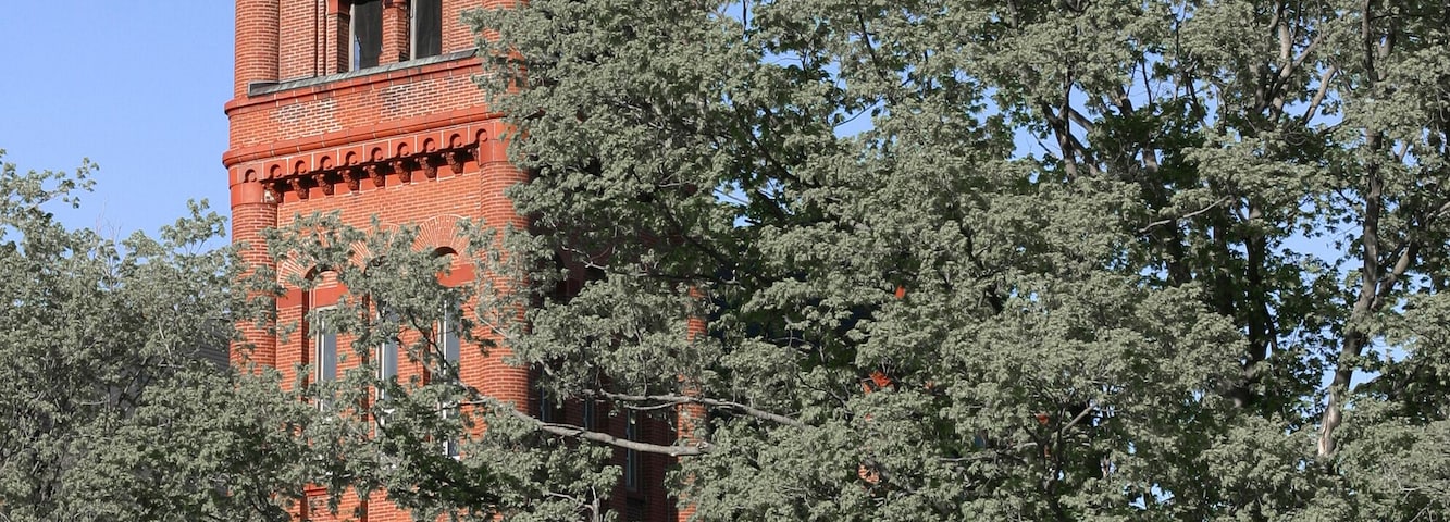 A clock tower with a red roof and a clock face, surrounded by trees.