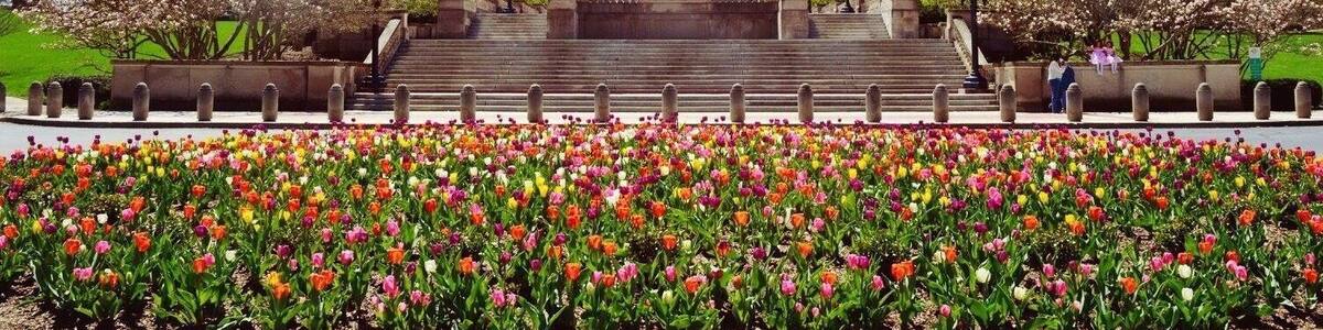 Enjoyed the day at the state capital