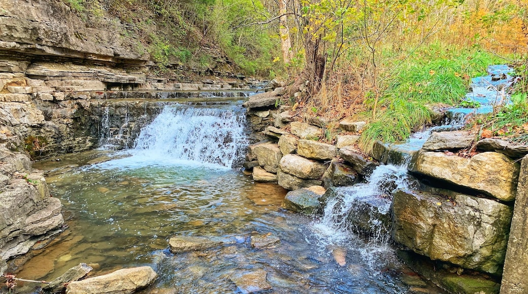 Traveled to Frankfort , KY for a training and decided to explore a bit. Beautiful little park.