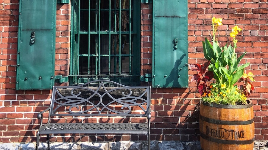 Seeing #red on the free buffalo taste distillery tour in Kentucky. Lots of free samples too.