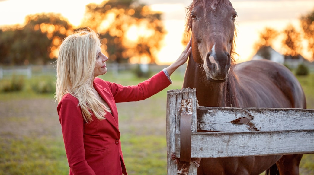 women with Horse on sunset