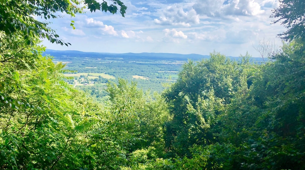 Beautiful climb to the overlook on a summer day.