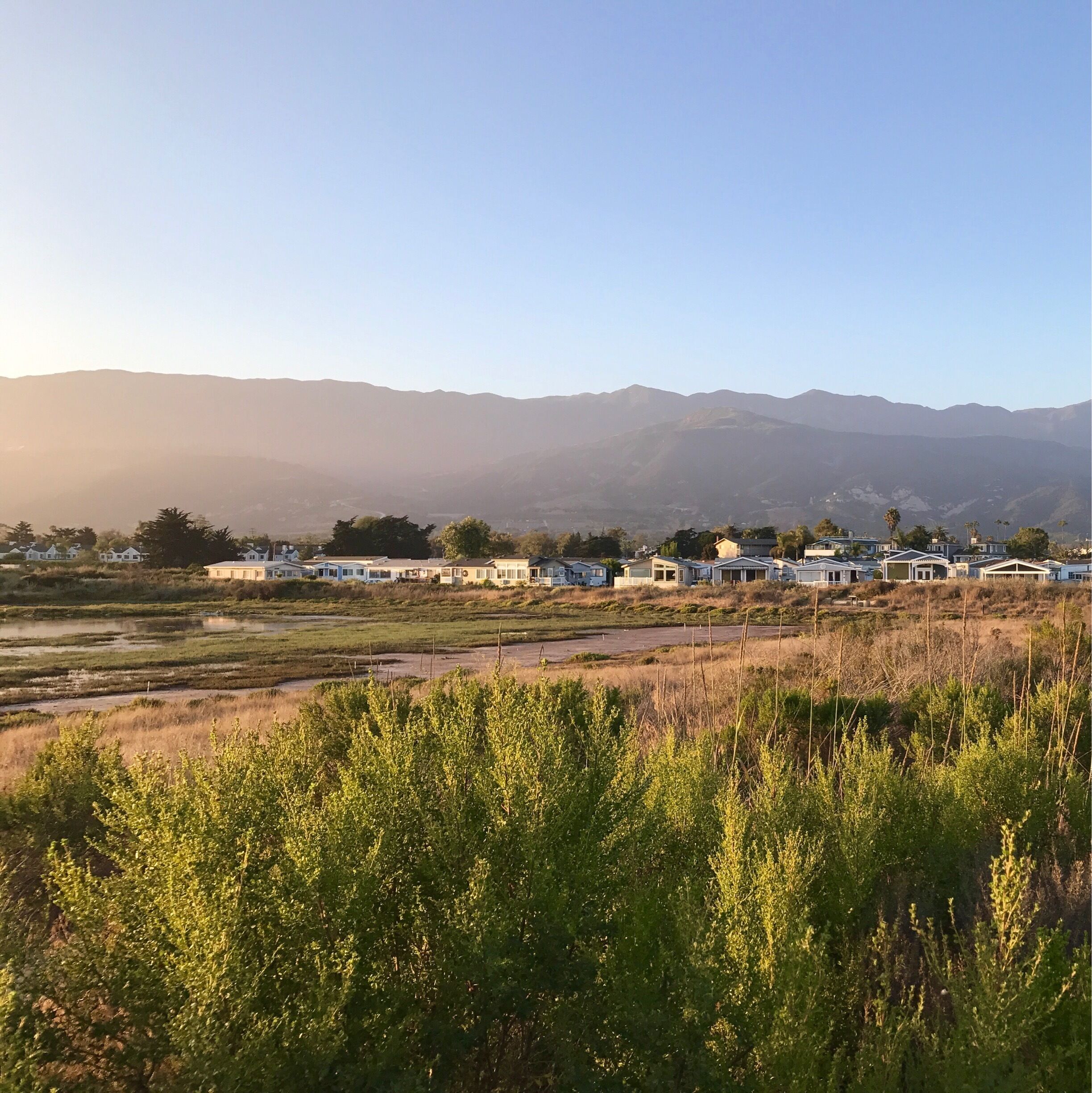 A view of the mountains from Carpinteria's salt marsh