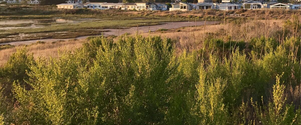 A view of the mountains from Carpinteria's salt marsh