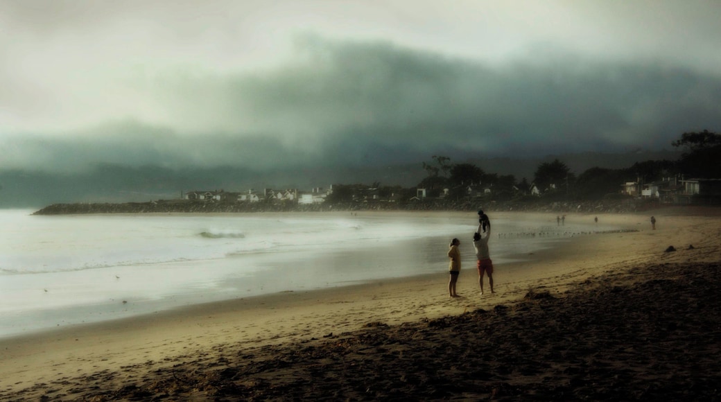 Family..it always makes me smile when I see a young family out enjoying simple pleasures like a walk on a foggy beach.
in-climate weather can add to a scene, so when you see cloudy rainy weather get out there and shoot..stretch those legs, vision and capture the light.
#natgeo #travel #artofvisuals #natgeotravel #NatGeoYourShot #cnntravel #culturetravel #beautifuldestinations #nikon #beachlife #beachstyle
#ilovenewportbeach #californiaadventure #visitcalifornia #westcoast_exposures #travelcalifornia #ExploringTheGlobe #justgoshoot
#worldcaptures #TravelAwesome #bestintravel #travelingthroughtheworld #bbctravel #landscape_captures #landscapes