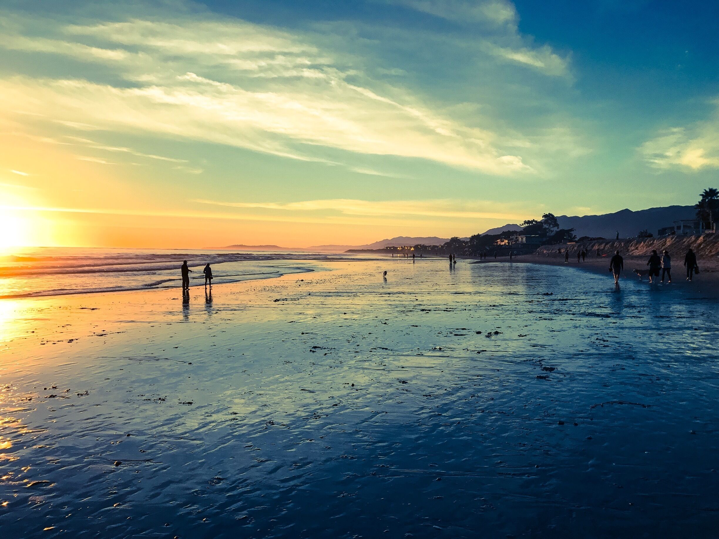The "world's safest beach" at sunset 🐬
