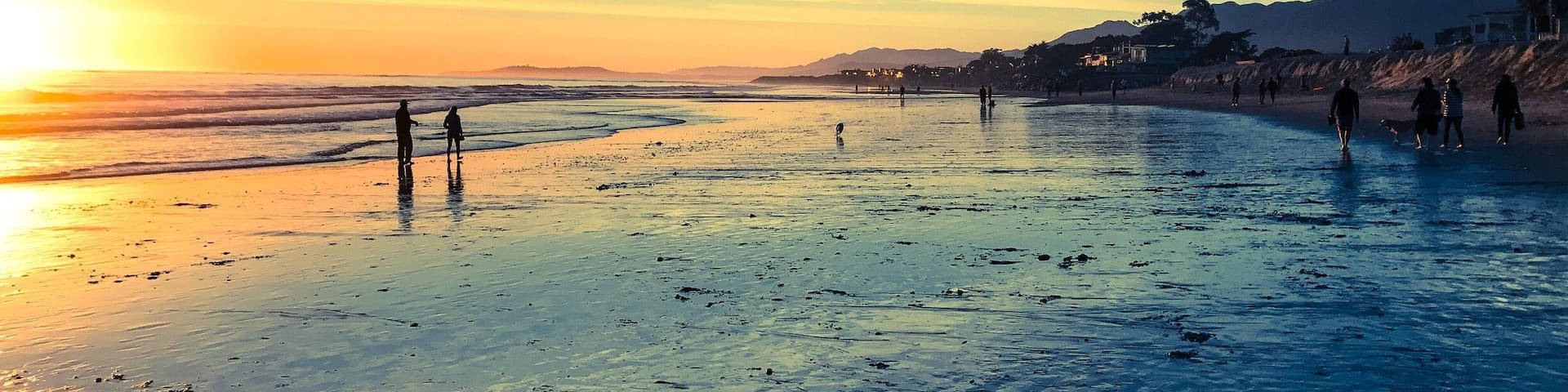 The "world's safest beach" at sunset 🐬