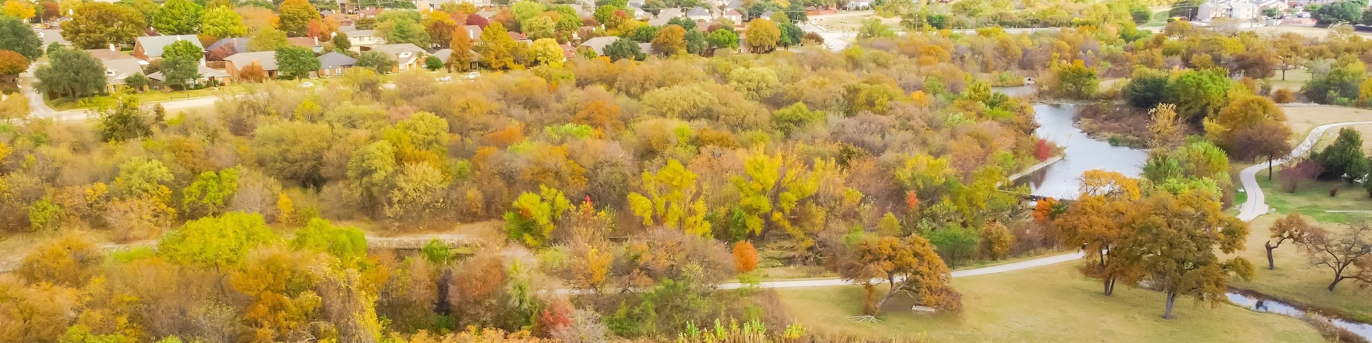 Aerial forest view residential subdivision and bright beautiful fall foliages colors suburbs Dallas, Texas, USA