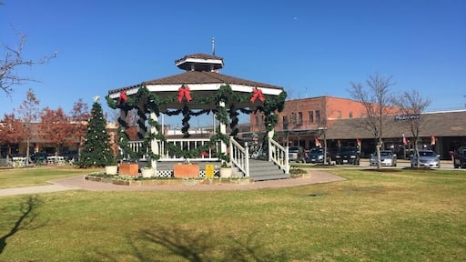 On a visit to the city, I looked up the downtown area in Carrollton because that's where our hotel was. I was not disappointed to find this "small town" kind of downtown with antiques and specialty shops. It was a beautiful addition to our trip.