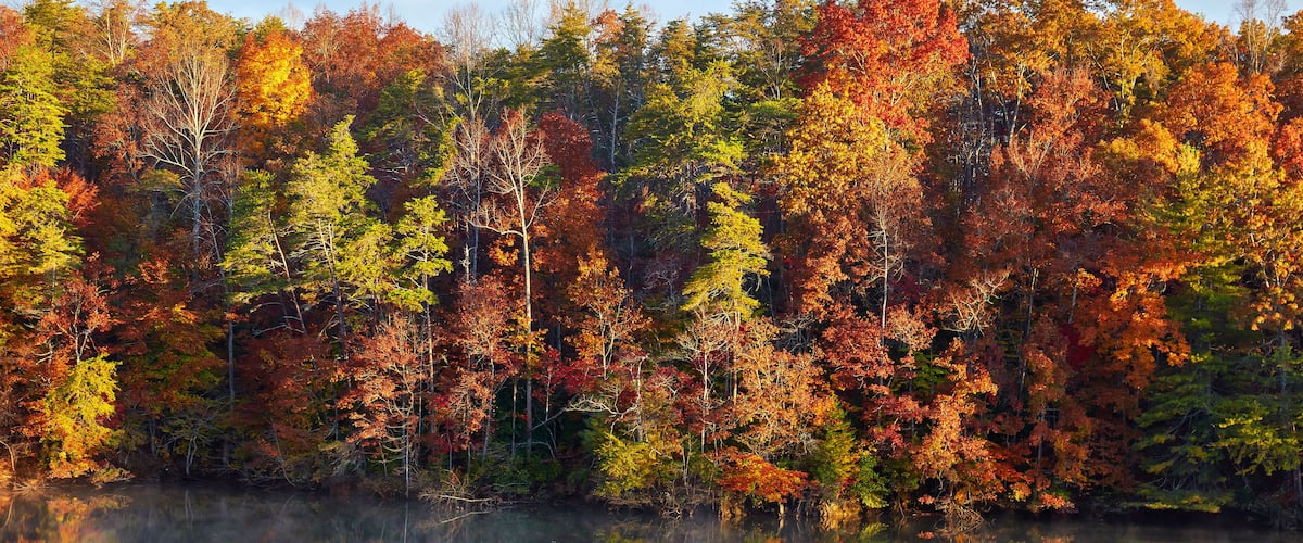 Autumn colors along the shore of Philpott Lake, located in the foothills of the Blue Ridge mountains near Stuart, Virginia