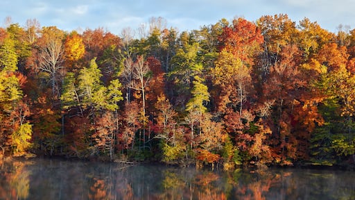 Autumn colors along the shore of Philpott Lake, located in the foothills of the Blue Ridge mountains near Stuart, Virginia