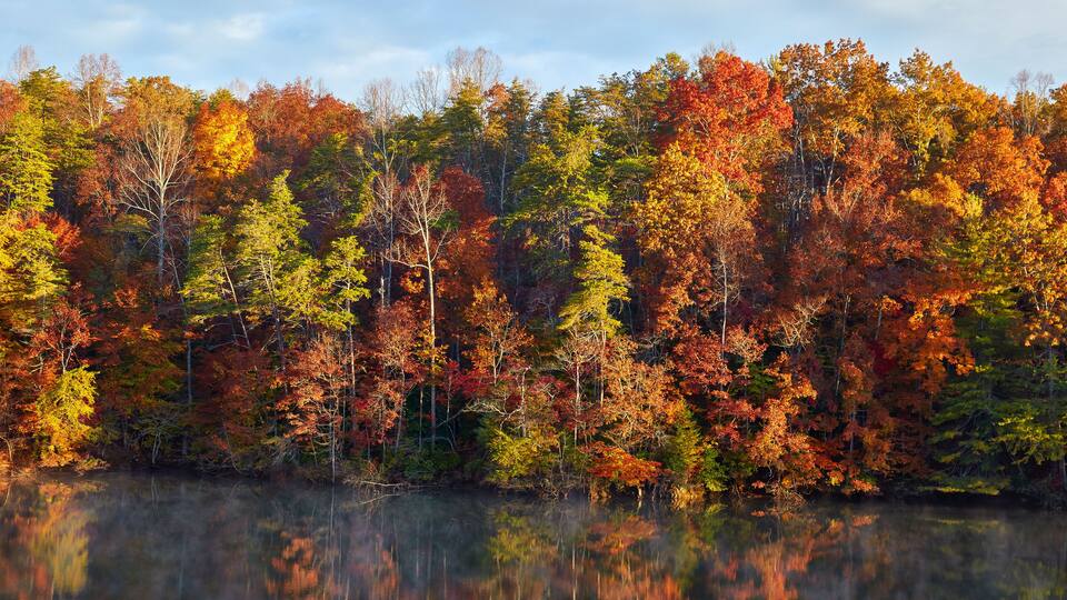 Autumn colors along the shore of Philpott Lake, located in the foothills of the Blue Ridge mountains near Stuart, Virginia