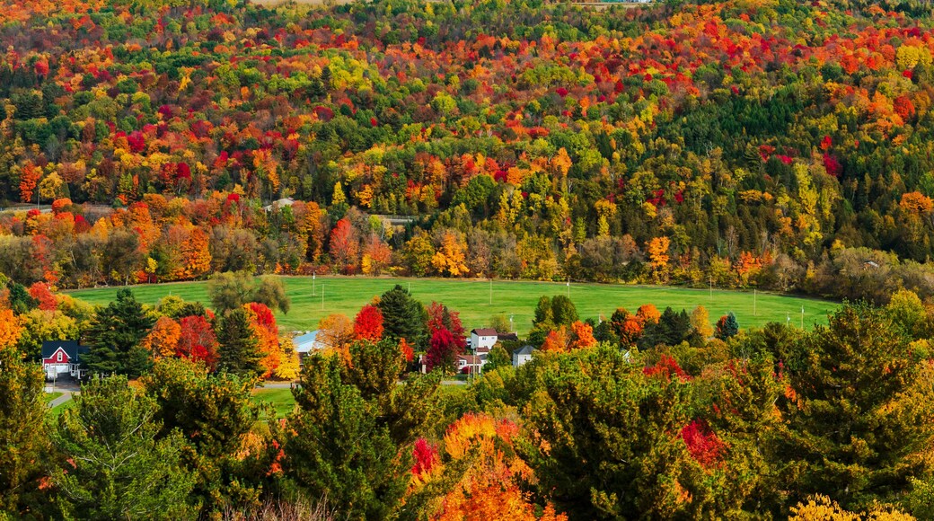 Thetford Mines