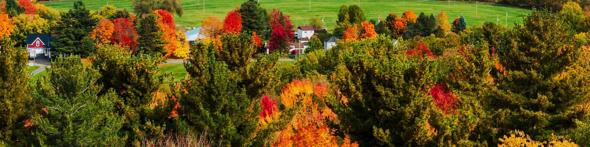Bright colors of fall foliage, Quebec, Canada