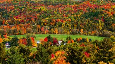 Bright colors of fall foliage, Quebec, Canada