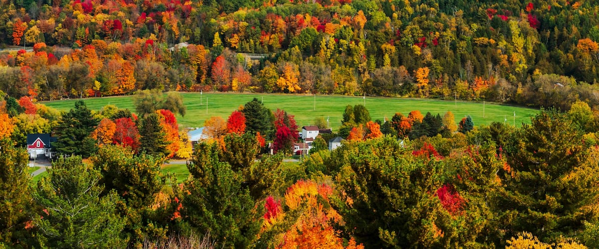 A rural landscape with a field, houses, and a dense forest of autumn-colored trees.
