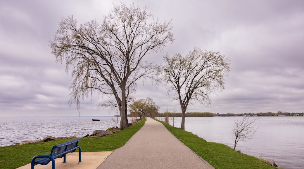 A lakeside path with a bench, trees, and a distant boat.