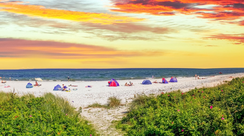 Beach in Maasholm, Germany