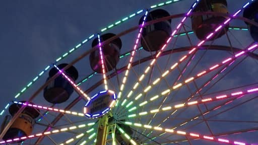 It's that time of year again!
Time for the county fair! The sad thing is I haven't been yet. Tomorrow is the last day so I am sure my daughter will drag me there.
When you live in a small place like we do the County Fair is a big deal. People from all over the county bring in their livestock to be judged. There is also a pet show and a horse show. Plenty of carnival food and lots of scary and not so scary rides. Fun for all as they say.