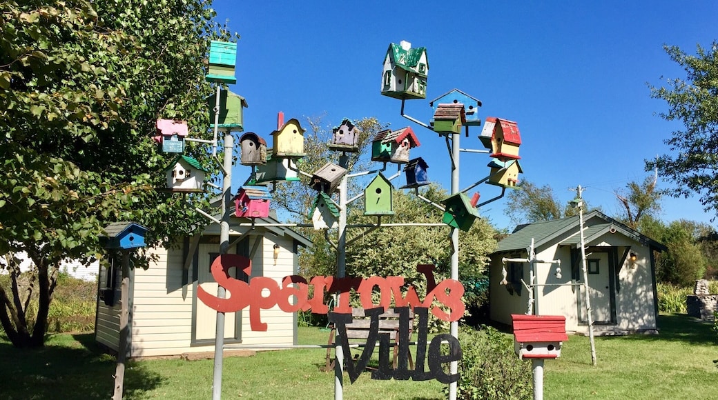 Each of these bird houses is occupied making it a useable art installation.