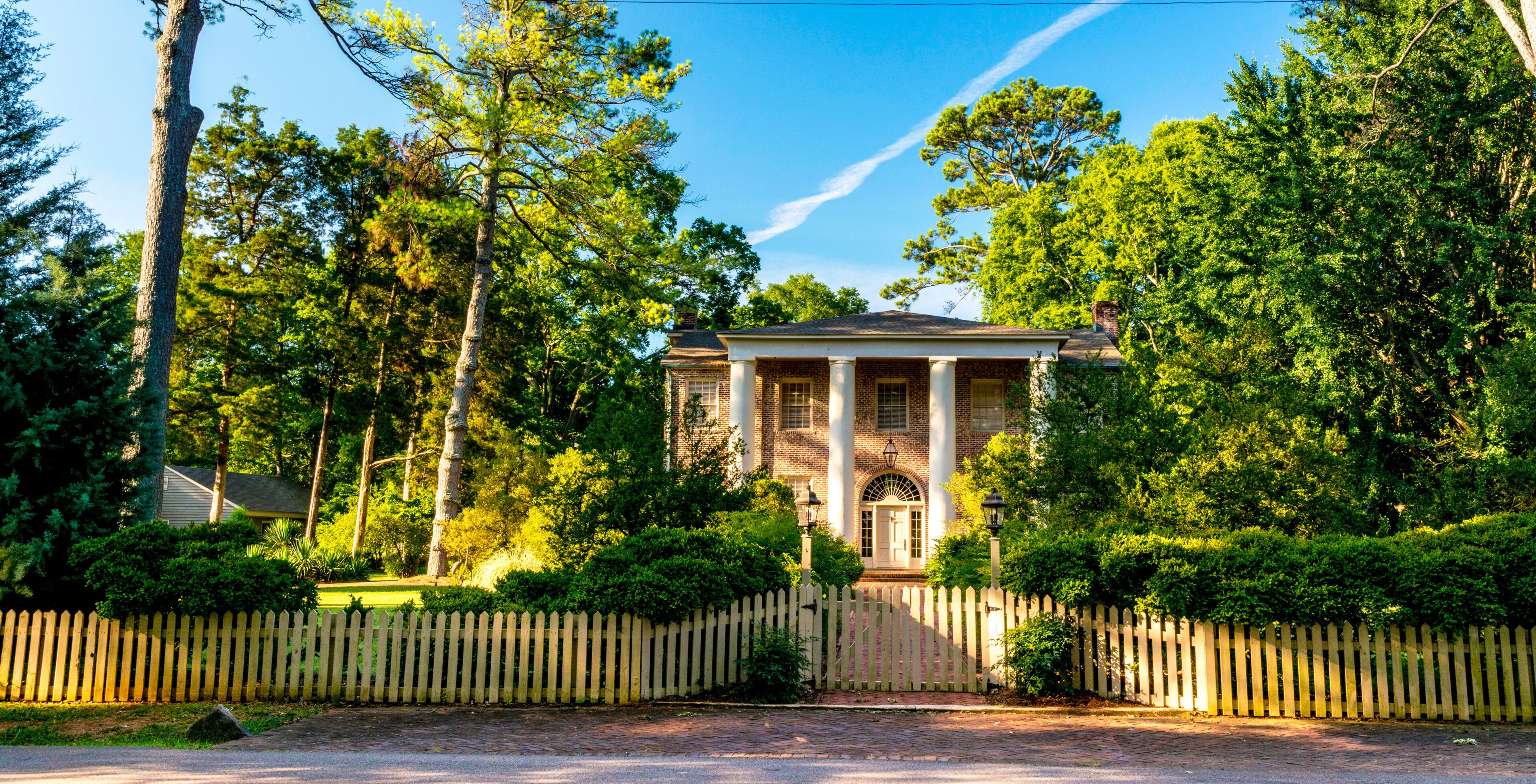 Fence and trees are a part of this plantation