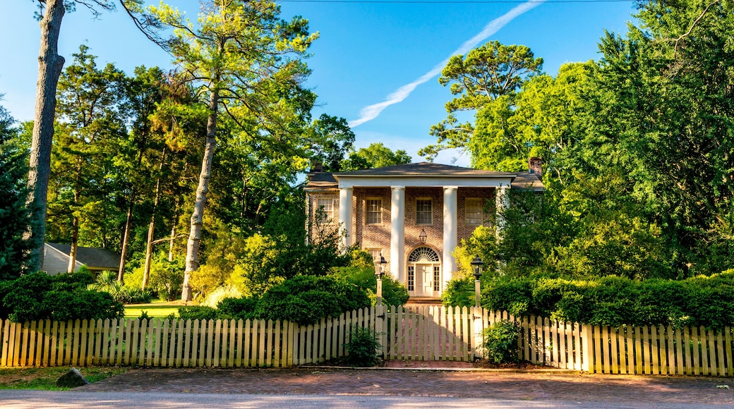 Fence and trees are a part of this plantation