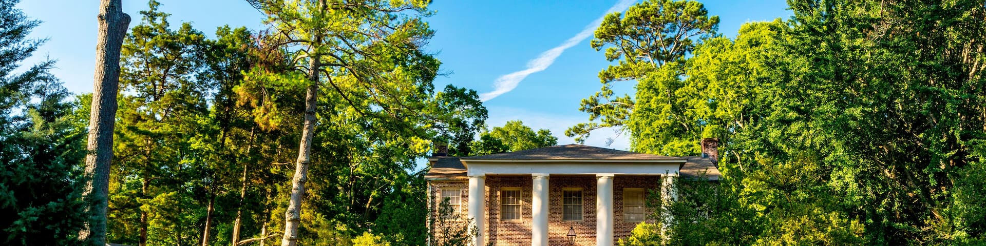 Fence and trees are a part of this plantation