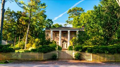 Fence and trees are a part of this plantation