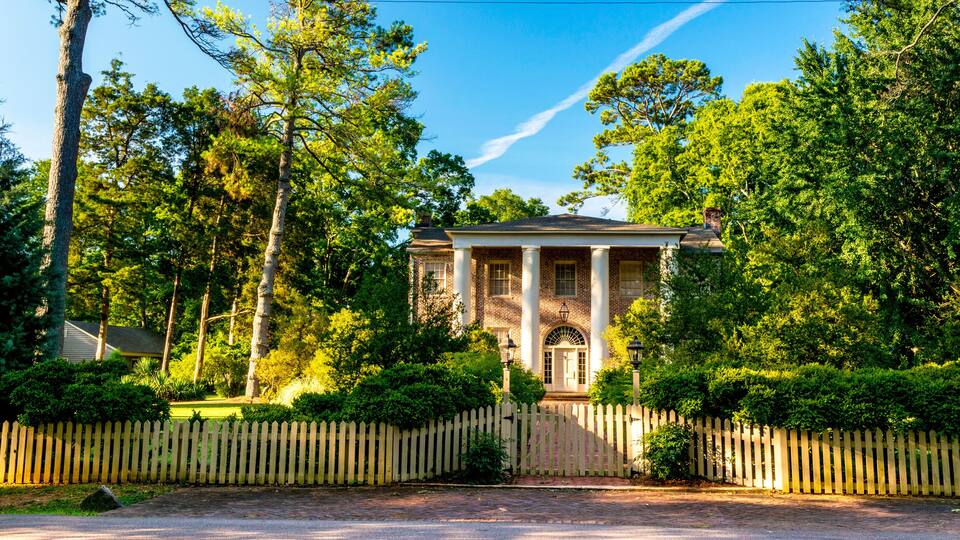 Fence and trees are a part of this plantation
