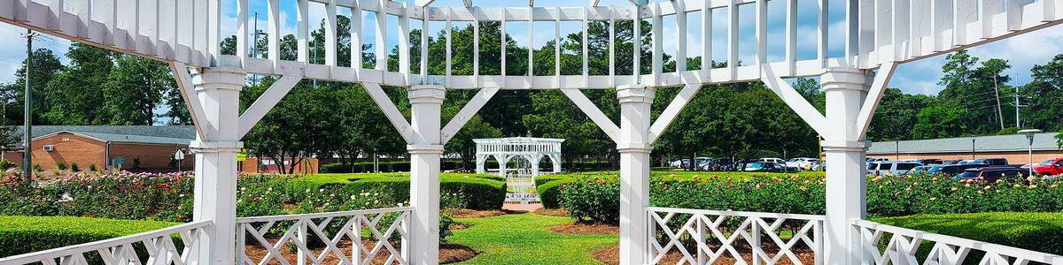 Fayetteville Rose Garden, North Carolina, USA