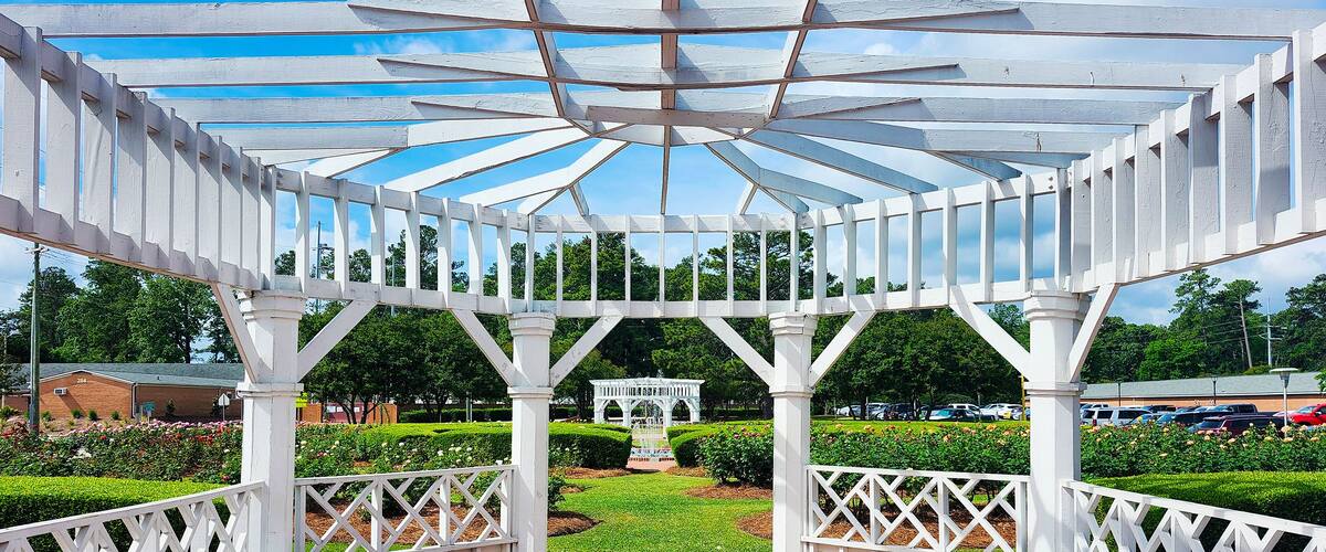 Fayetteville Rose Garden, North Carolina, USA