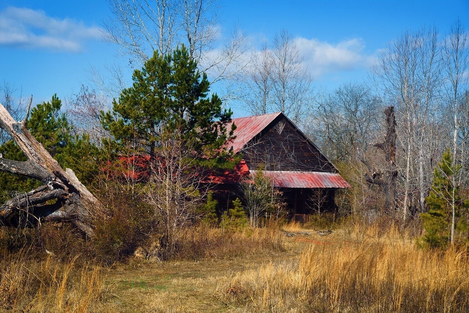 So glad I snapped this before it was destroyed.Back road near Thomasville. 