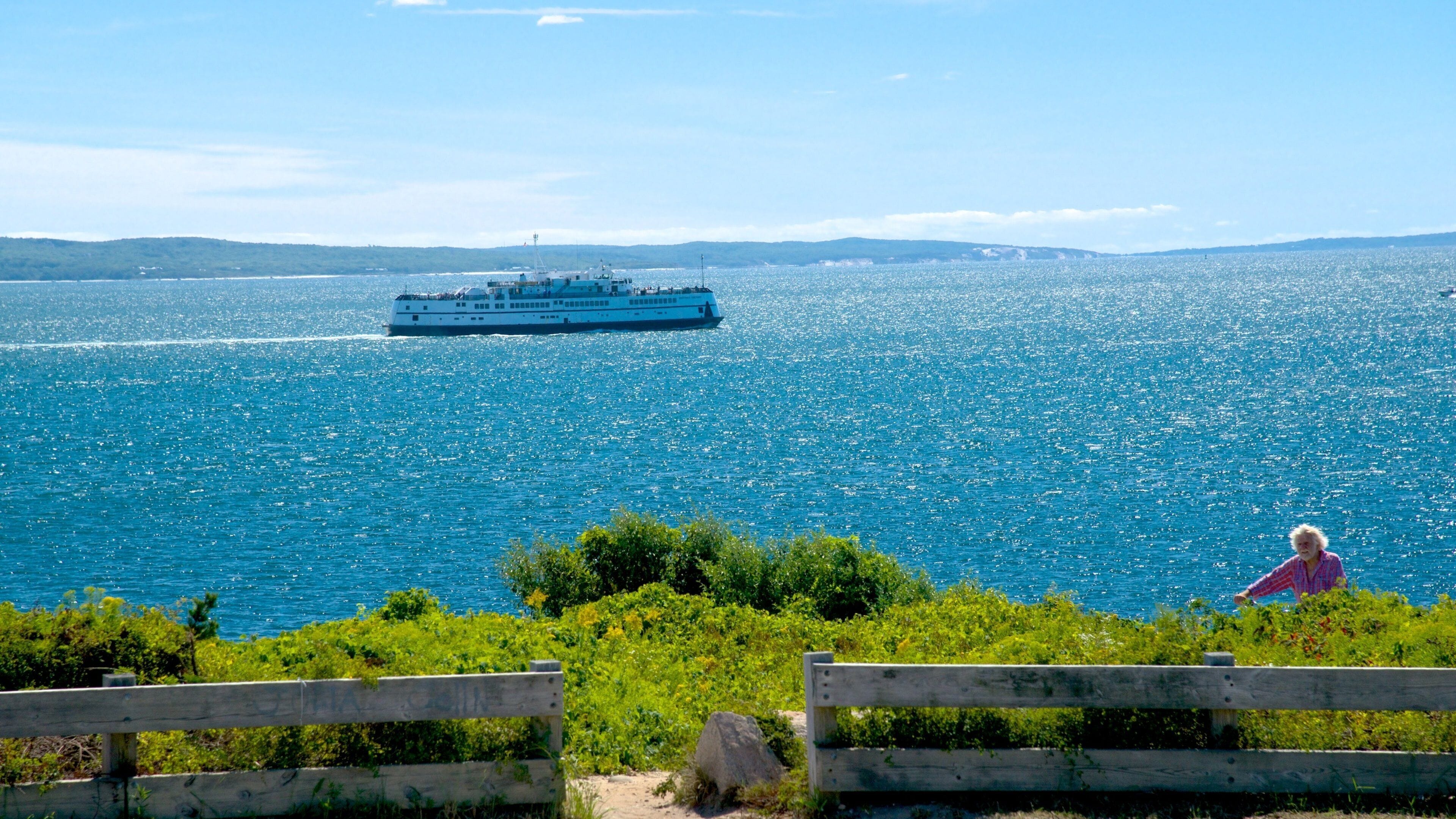 ファルマス 表示 クルーズ と 海岸線の眺め 及び 女性 (個人)