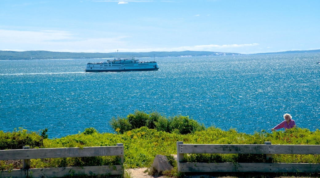 Falmouth mostrando crucero y vistas generales de la costa y también una mujer