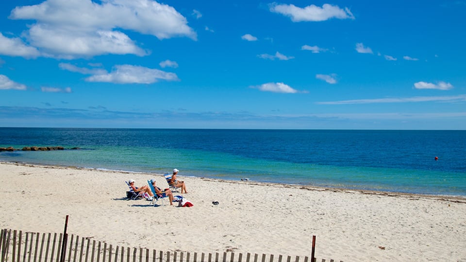 A sandy beach with a clear blue sky and calm sea.