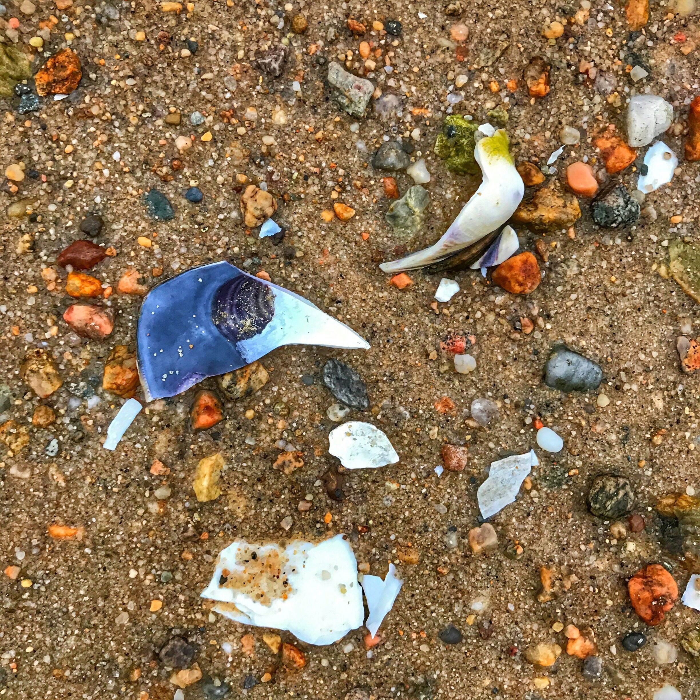 A sandy beach with scattered seashells and debris.