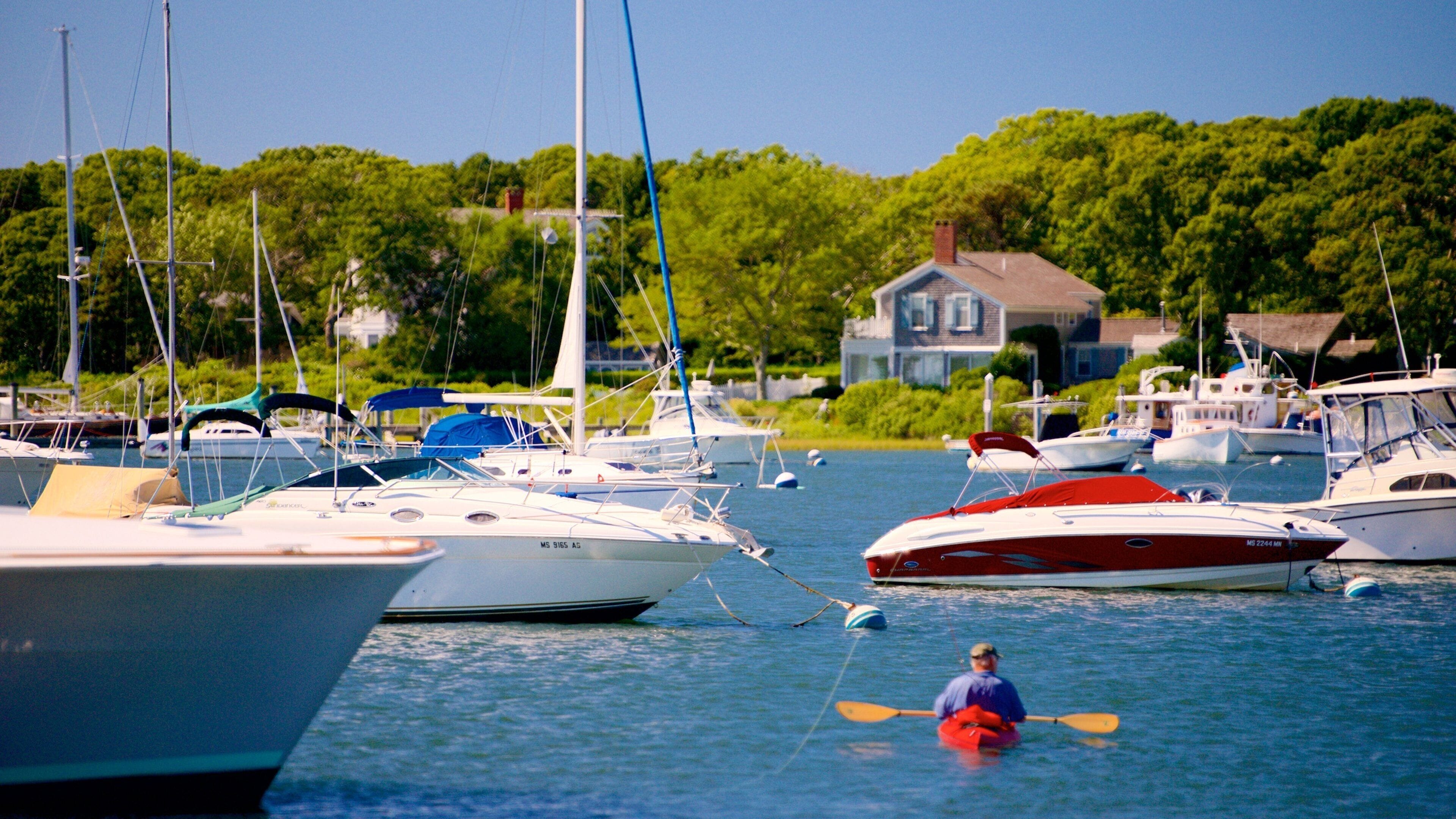 Falmouth showing a bay or harbor, boating and kayaking or canoeing