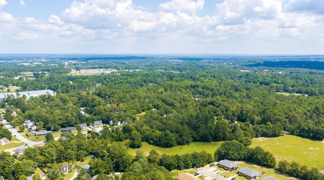 A residential area with houses, roads, and dense forest.