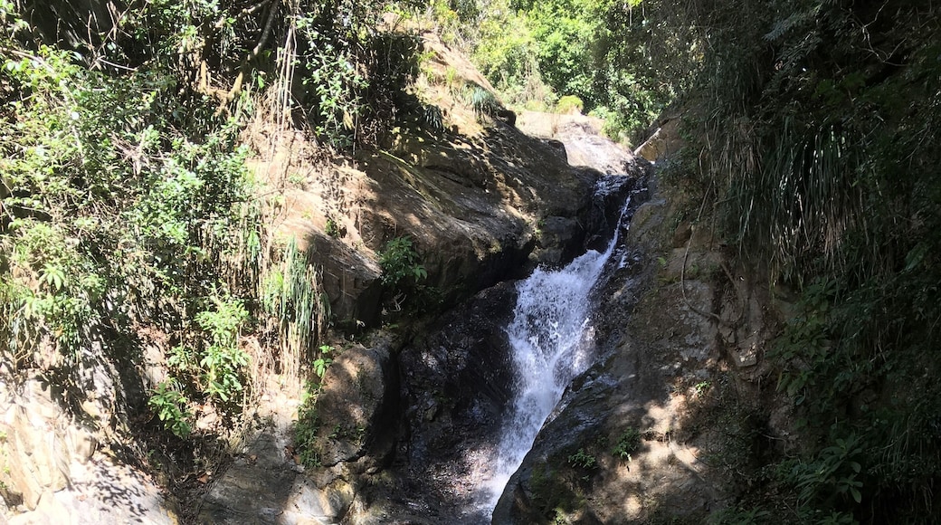 Incredible little spot off the beaten track on the beautiful island of Puerto Rico...would definitely recommend the drive to find this place
