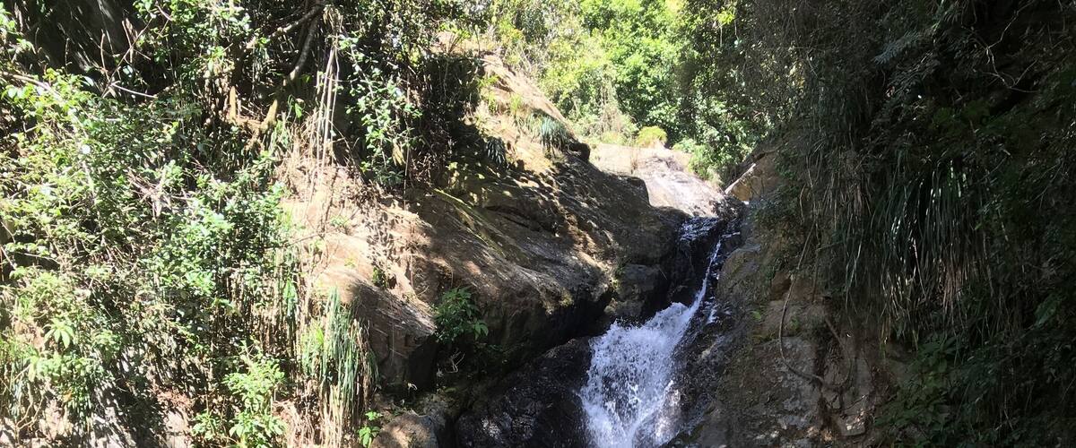 A waterfall cascading down a rocky cliff into a pool of water surrounded by greenery.