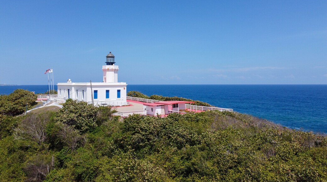 Un faro con estructura blanca y azul, rodeado de exuberante vegetación y el océano.