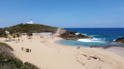 Una playa con un faro en una colina, palmeras y agua azul cristalina.