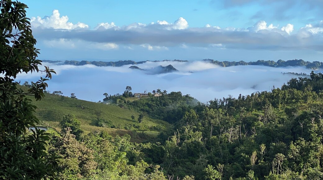 Utuado is undiscovered and way off the beaten track