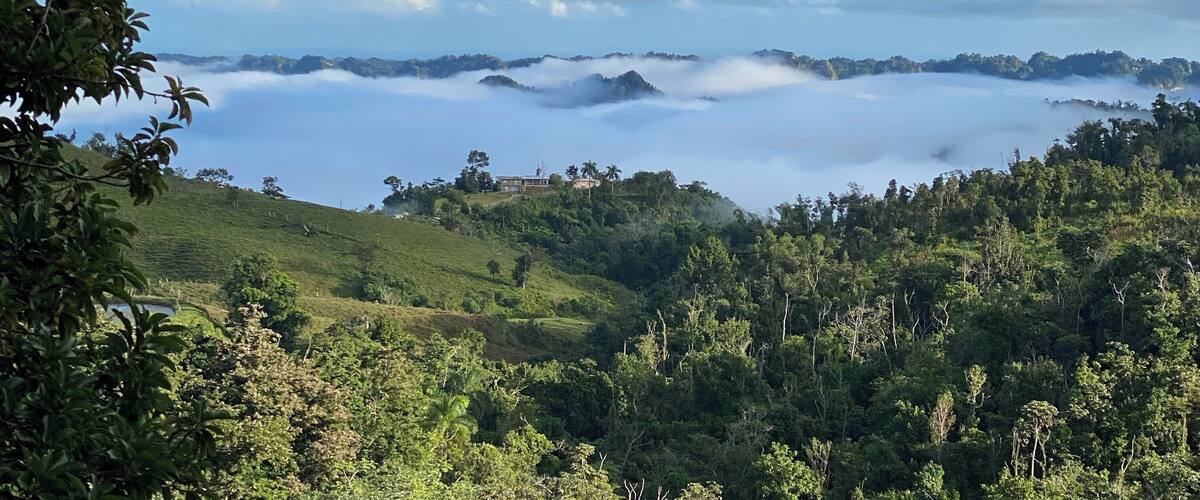 Utuado is undiscovered and way off the beaten track