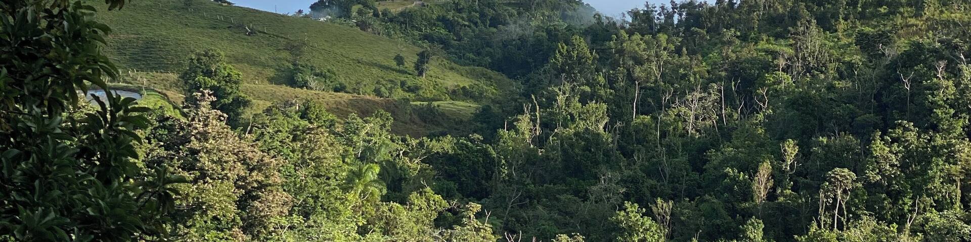 Utuado is undiscovered and way off the beaten track