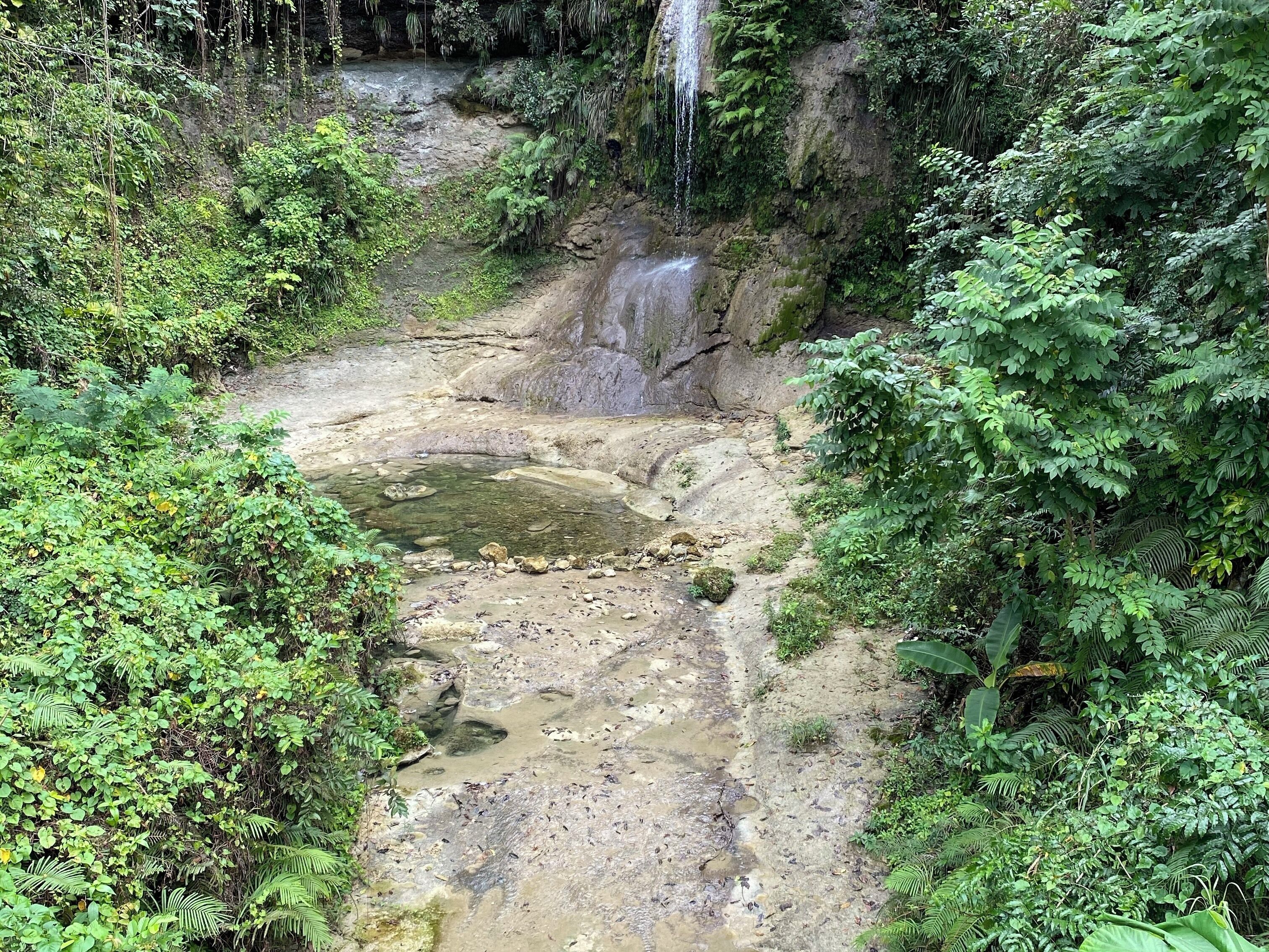 A waterfall cascading into a rocky stream surrounded by dense greenery.