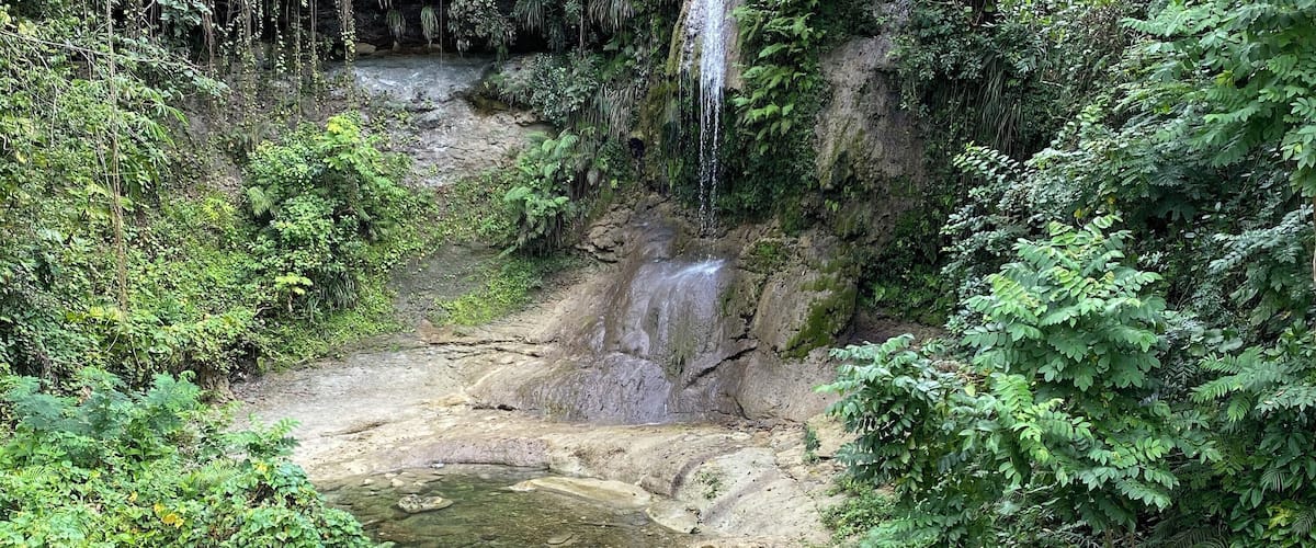 A waterfall cascading into a rocky stream surrounded by dense greenery.